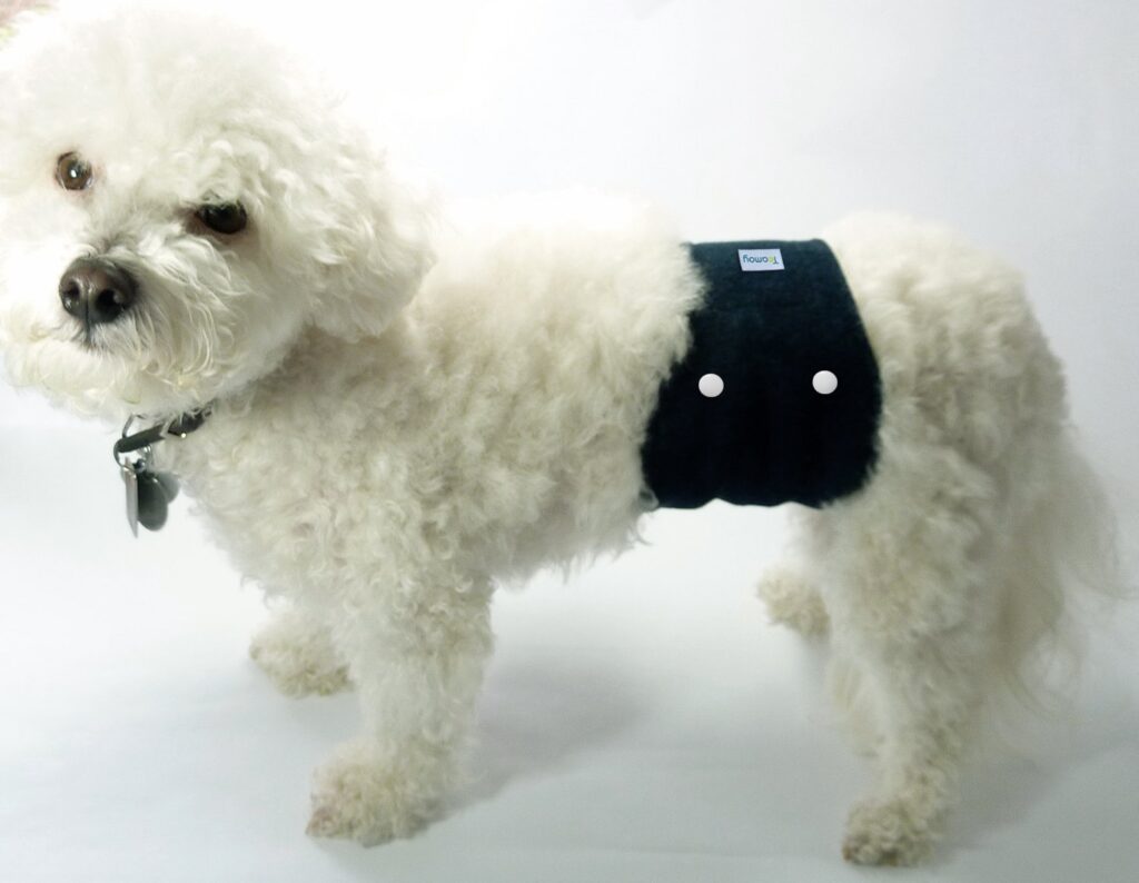 Best Washable Dog Diapers